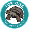 Indian Star Tortoise Care Guide