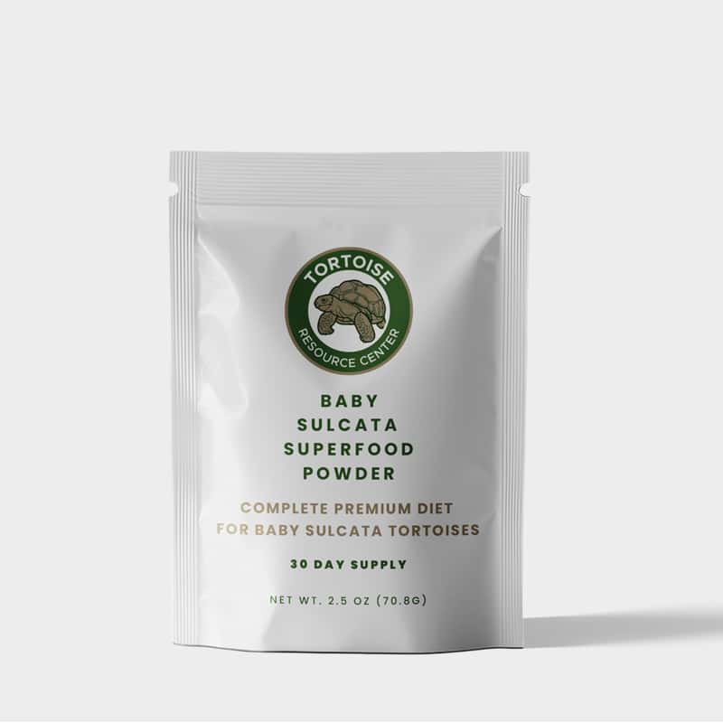 Superfood Powder