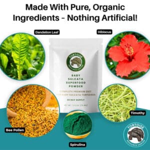 Baby Salcata Superfood Powder