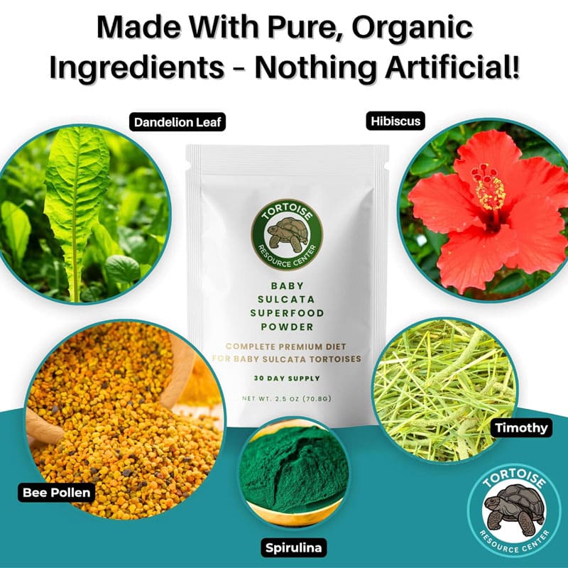 Superfood Powder 1 Baby Salcata Superfood Powder