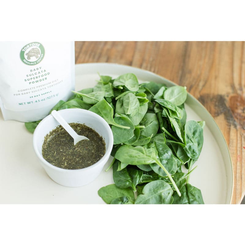Superfood Powder 6 Baby Salcata Superfood Powder