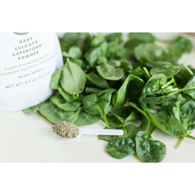 Superfood Powder 7 Baby Salcata Superfood Powder