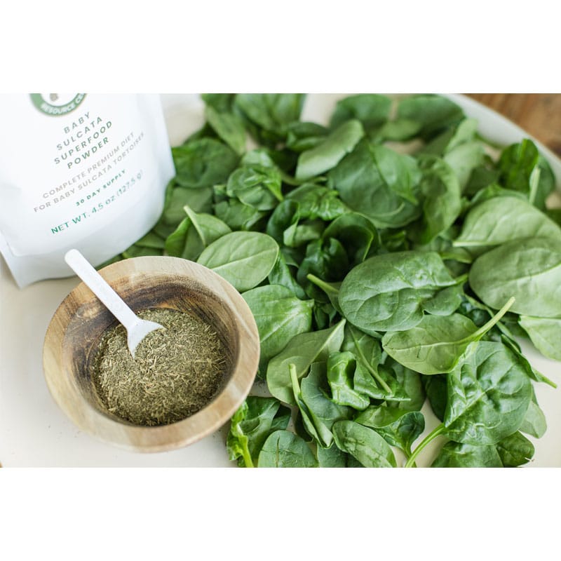 Superfood Powder 8 Baby Salcata Superfood Powder