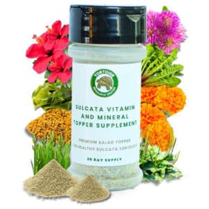 Sulcata Vitamin and Mineral Topper Supplement