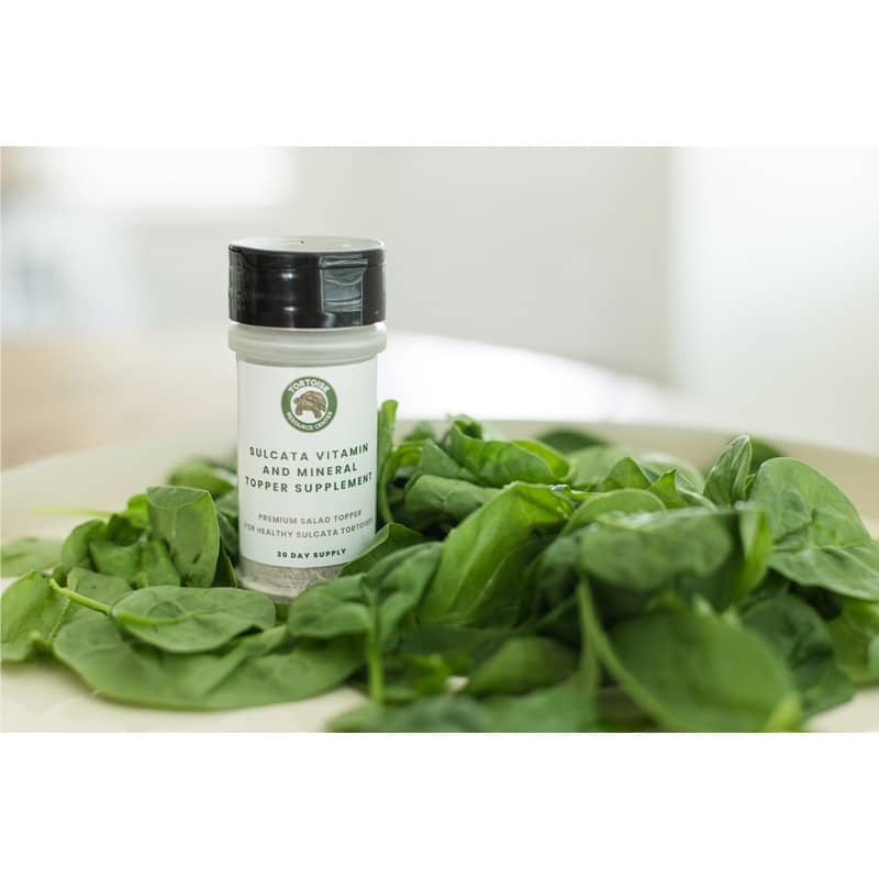 Vitamin and Mineral Supplement 4 Sulcata Vitamin and Mineral Topper Supplement