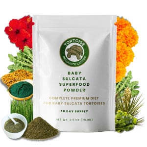 Baby Sulcata Tortoise Superfood Powder