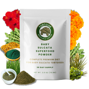 Baby_Sulcata_Superfood_Poweder_Tortoise_Resource_Cente Baby_Sulcata_Superfood_Poweder_Tortoise_Resource_Cente