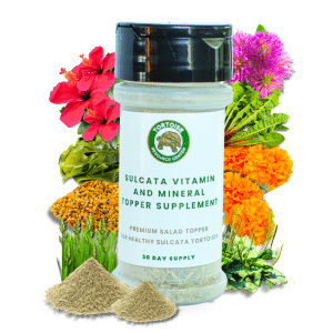 Sulcata_Vitamin _Mineral_Topper_Supplement_Tortoise_Resource_Center Sulcata_Vitamin _Mineral_Topper_Supplement_Tortoise_Resource_Center