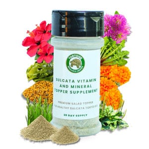 Sulcata Vitamin- Mineral Topper Supplement Tortoise Resource Center