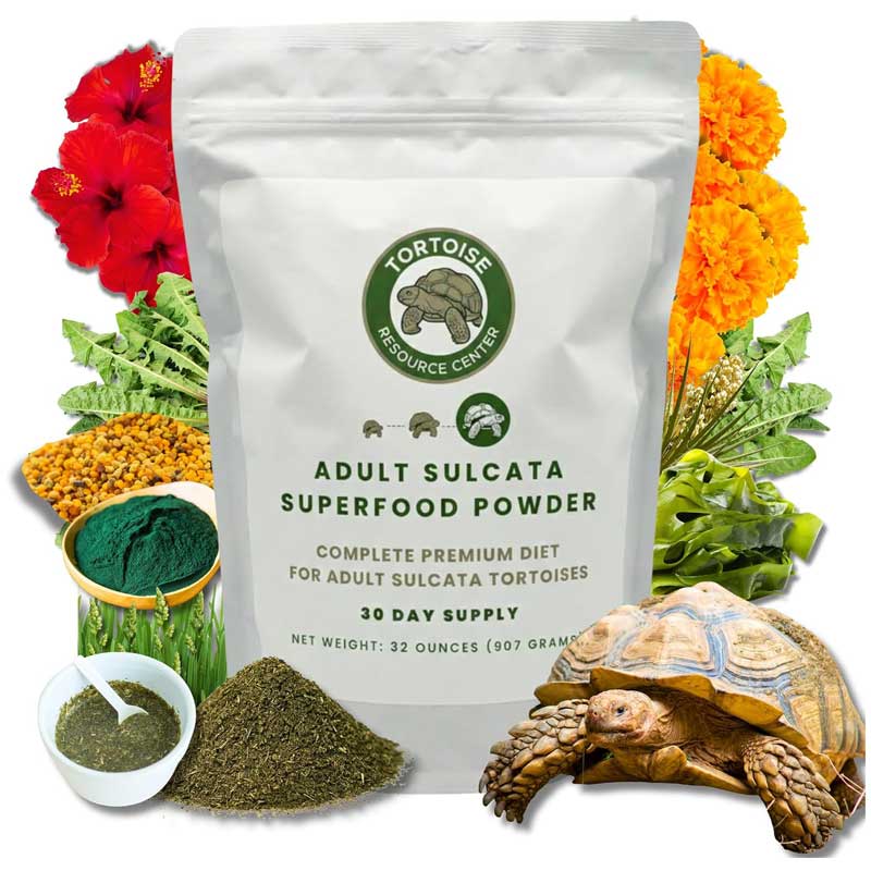 Adult Sulcata Superfood 1 Adult Sulcata Superfood