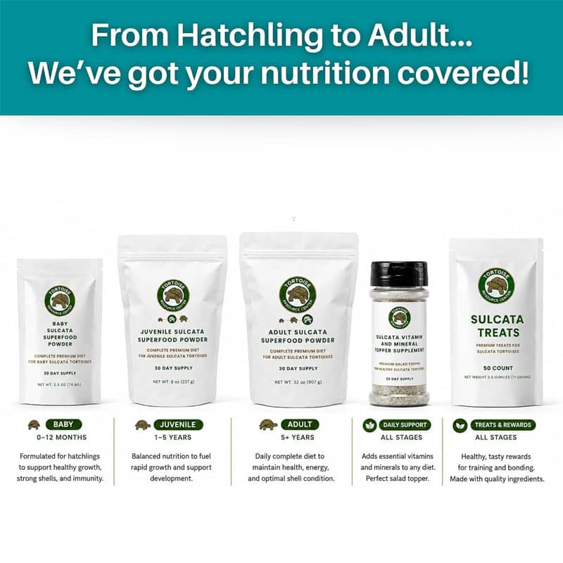 Adult Sulcata Superfood 2 Adult Sulcata Superfood