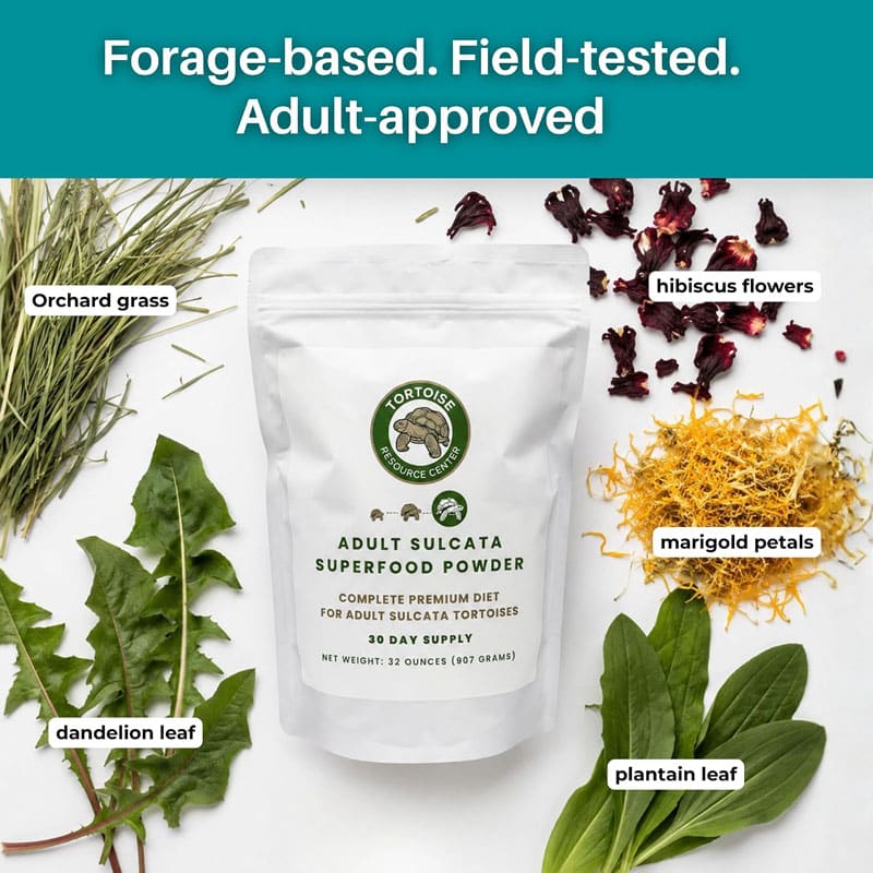 Adult Sulcata Superfood 3 Adult Sulcata Superfood