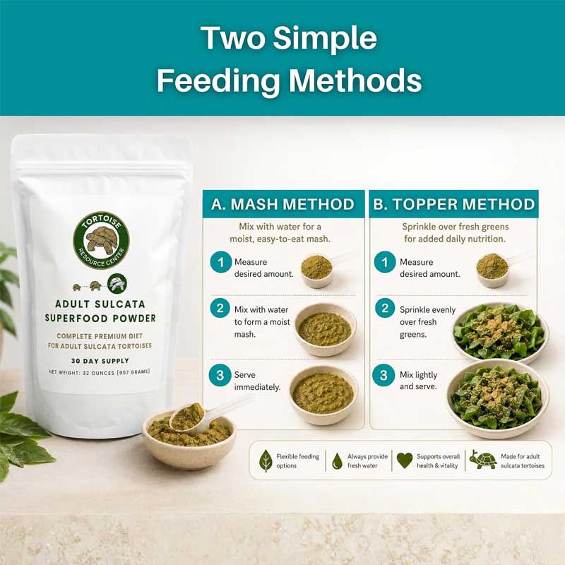 Adult Sulcata Superfood 6 Adult Sulcata Superfood