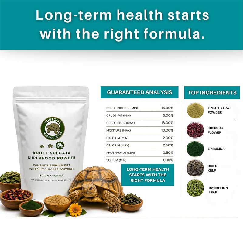Adult Sulcata Superfood 9 Adult Sulcata Superfood