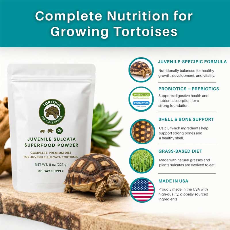 Juvenile Sulcata Superfood
