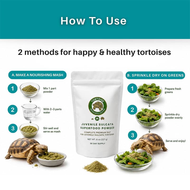 Juvenile Sulcata Superfood