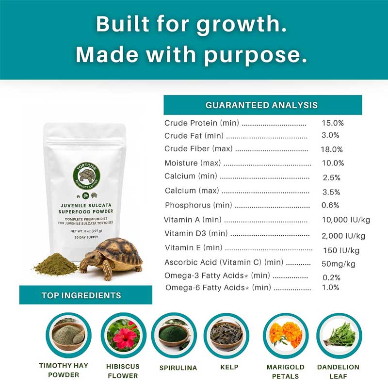 Juvenile Sulcata Superfood