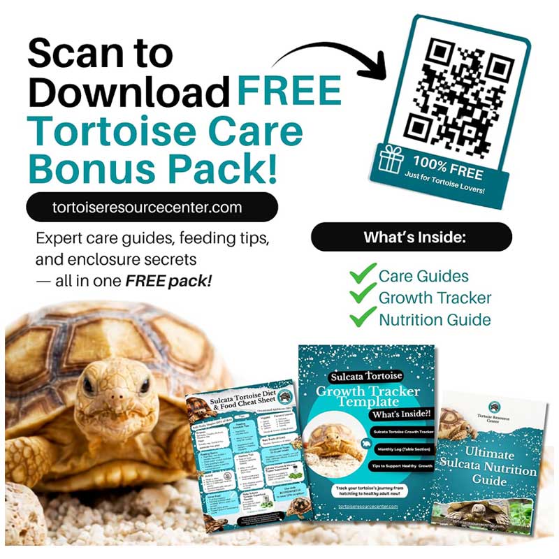 Juvenile Sulcata Superfood