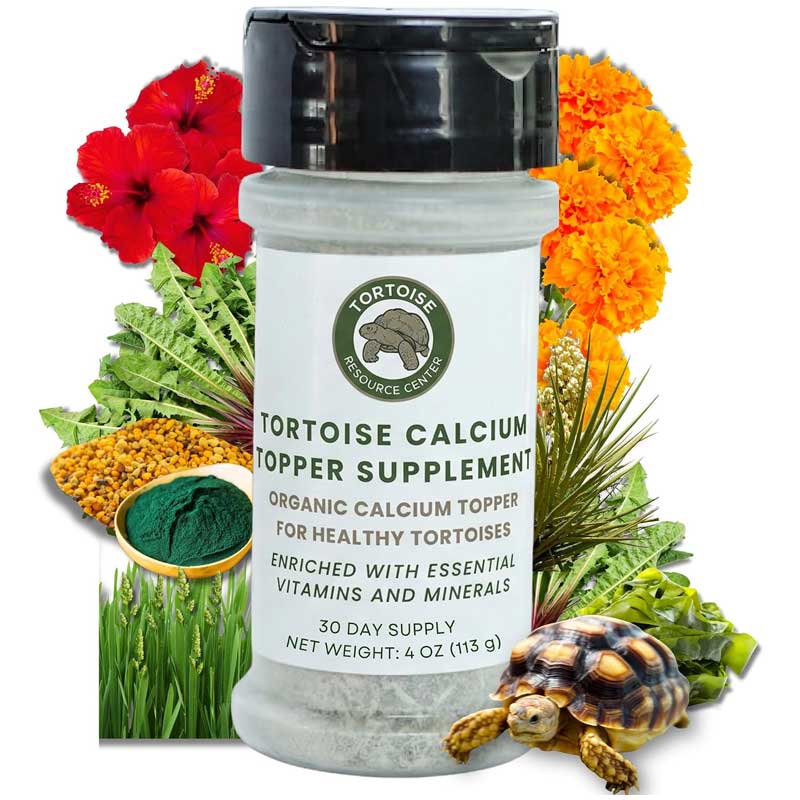 Tortoise Calcium Topper 1 Tortoise Calcium Topper with Vitamin D3
