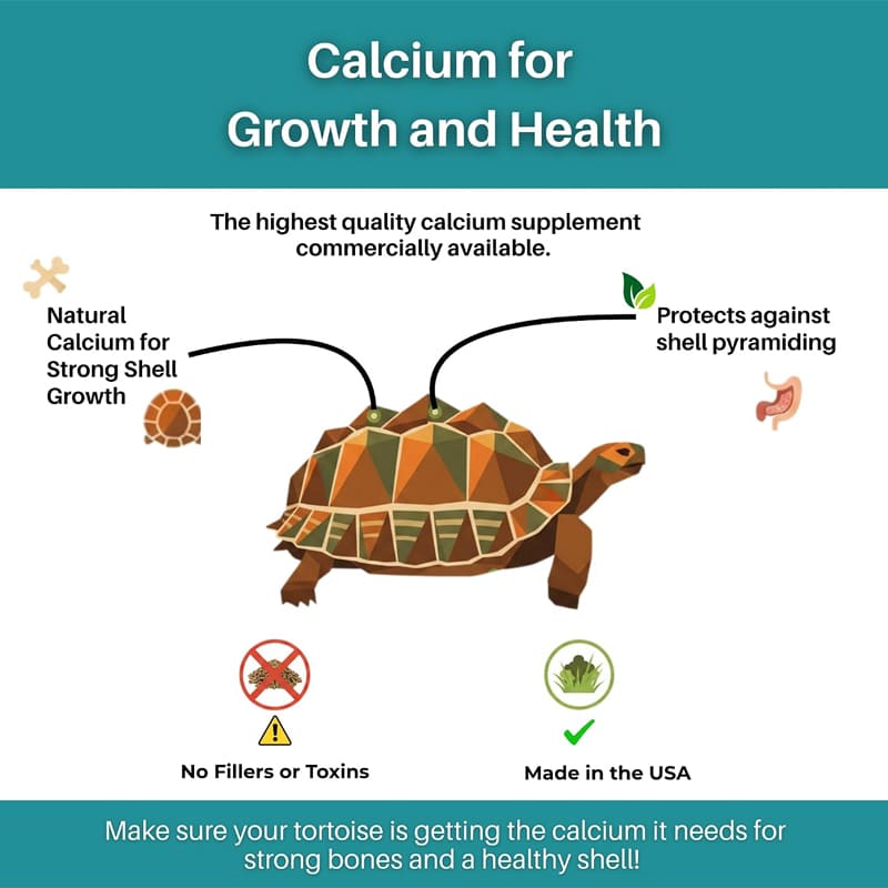 Tortoise Calcium Topper 3 Tortoise Calcium Topper with Vitamin D3