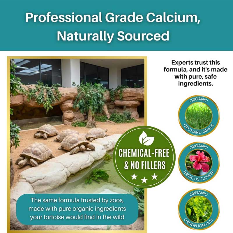 Tortoise Calcium Topper 5 Tortoise Calcium Topper with Vitamin D3