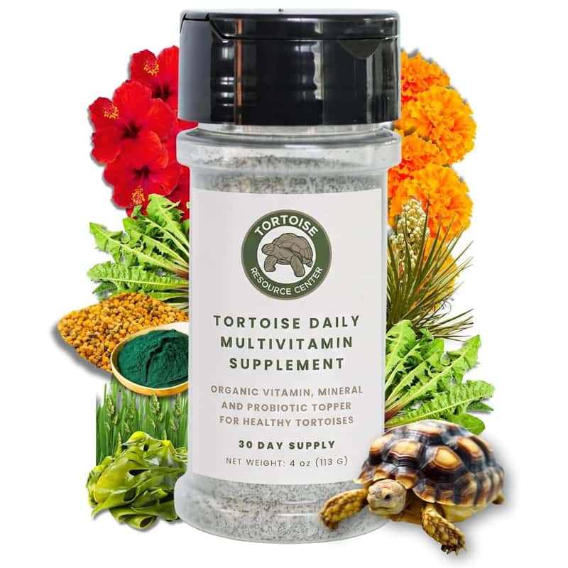 Tortoise Daily Multivitamin 1 Tortoise Daily Multivitamin Supplement