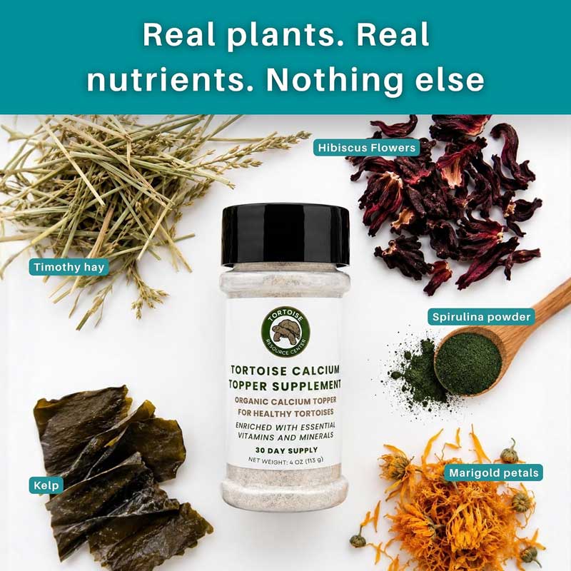 Tortoise Daily Multivitamin 5 Tortoise Daily Multivitamin Supplement
